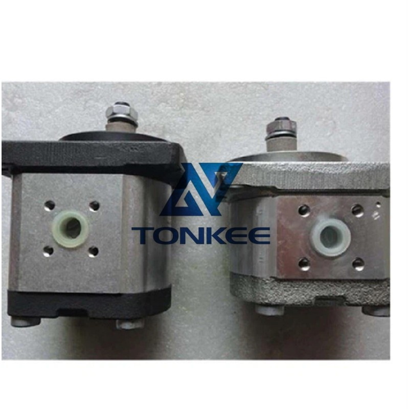 China AZPN-22-032RDC07PP-S0081 Hydraulic External Gear Oil Pump | Partsdic®